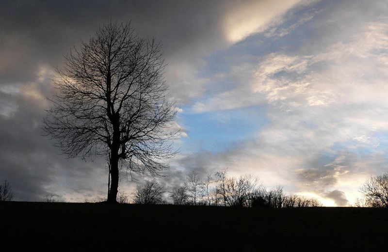 compagni nel tramonto