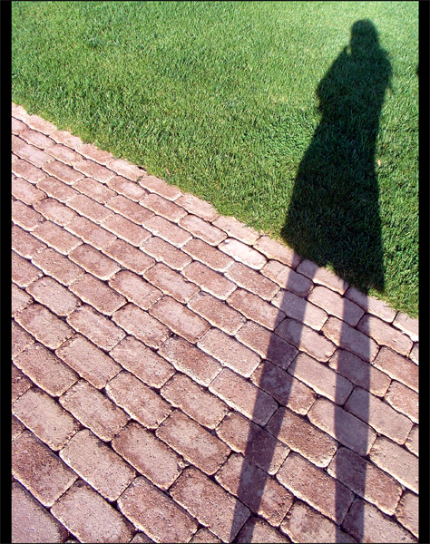 la mia solita fissazione