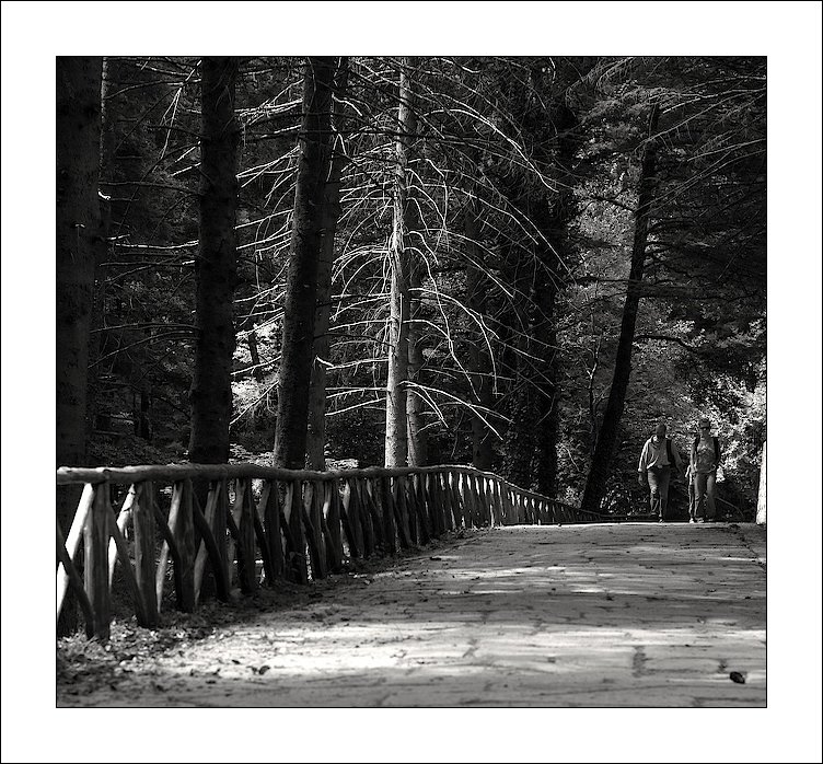 Calabria - Serra San Bruno