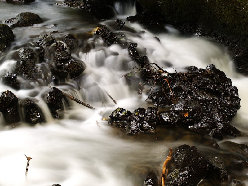 Torrente Sm. Galeria