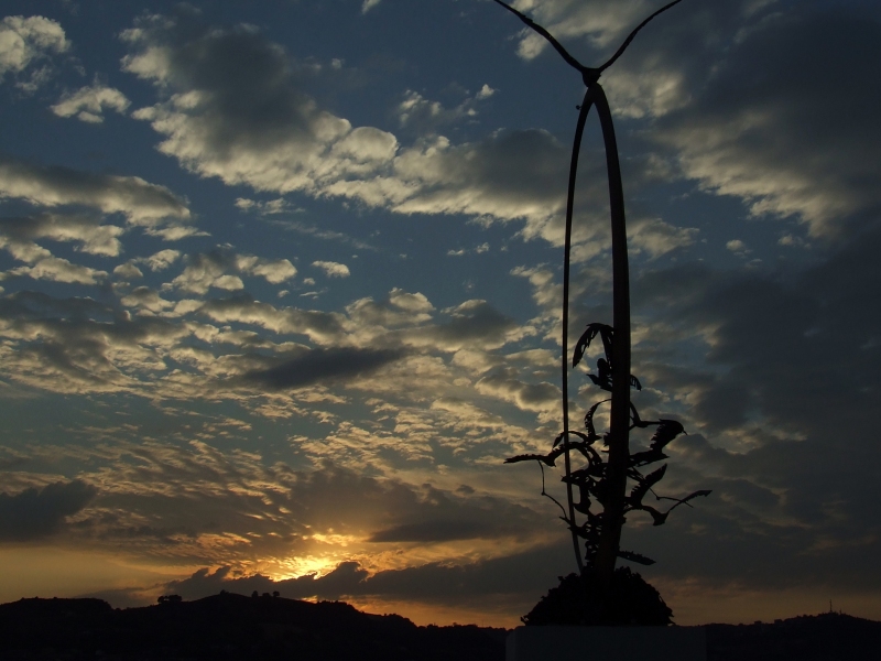 Il tramonto del gabbiano