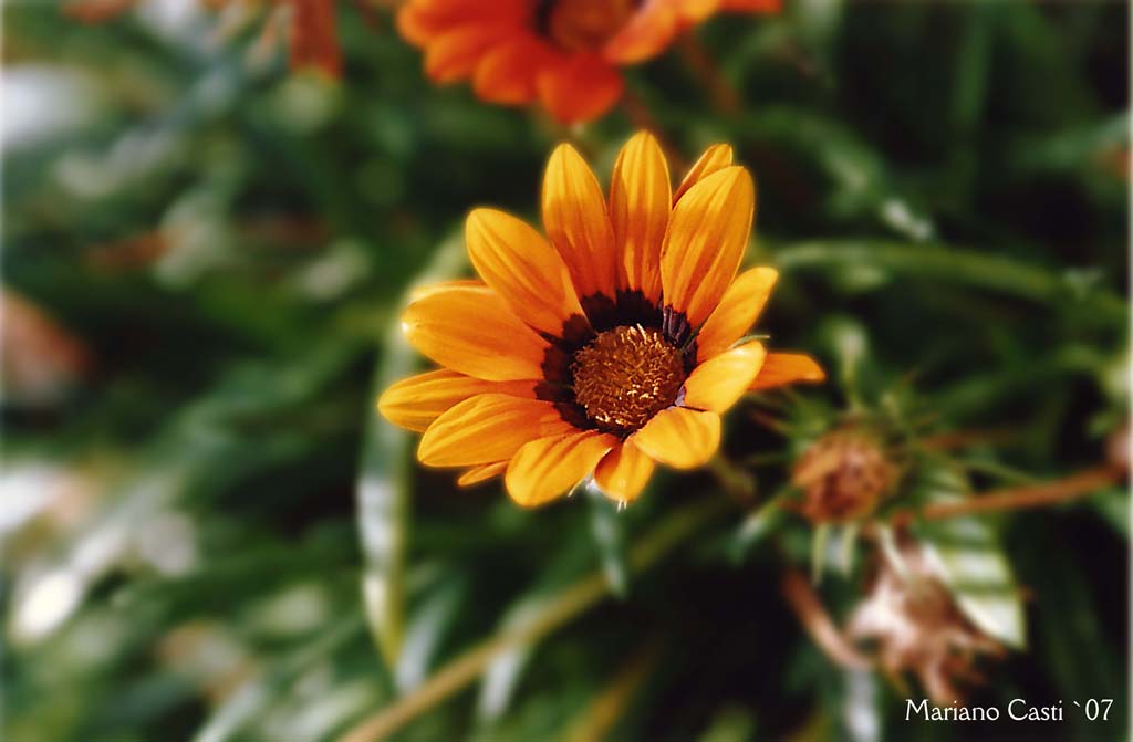 la pellicola ha ancora tanto da dire