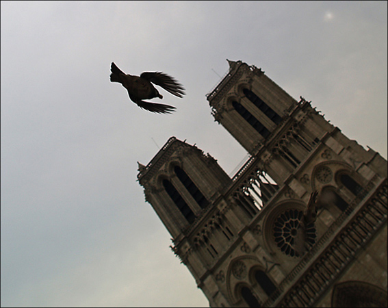 notre dame