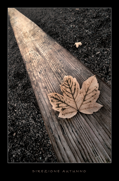 direzione autunno