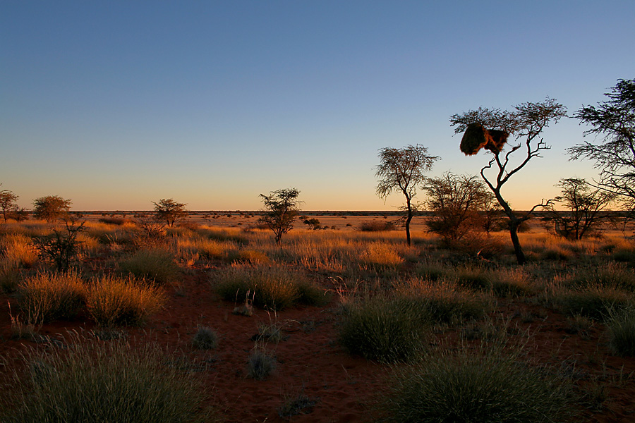 namibia landscape