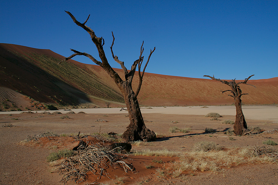 namibia desert 2