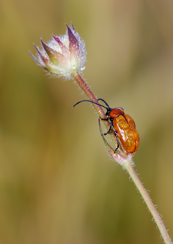 che fatica arrivare lass�