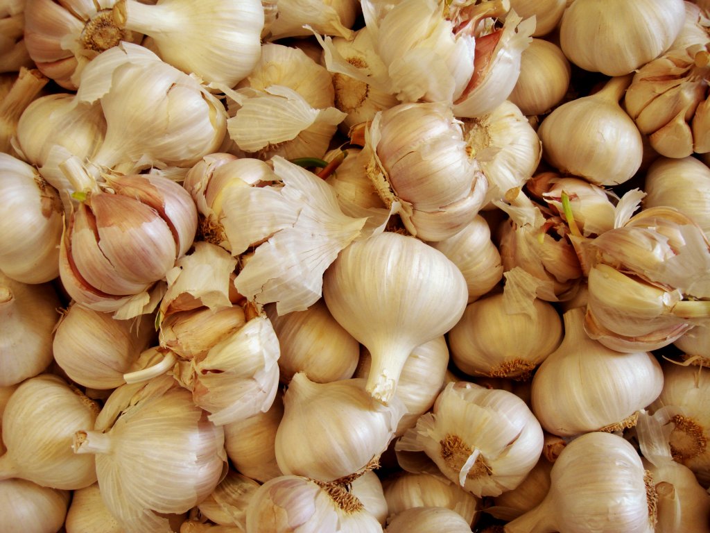 Aglio aglio aglio!