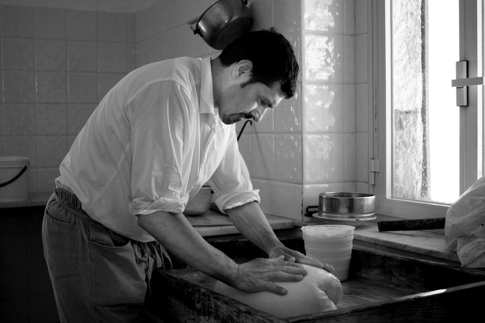 produzione tradizionale di "Tuma" formaggio di pecora