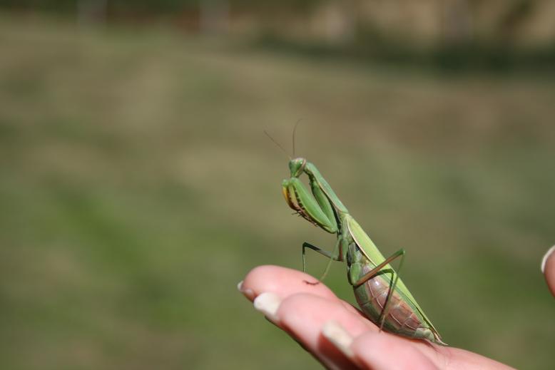 che eleganza !!!!!!!!!!!