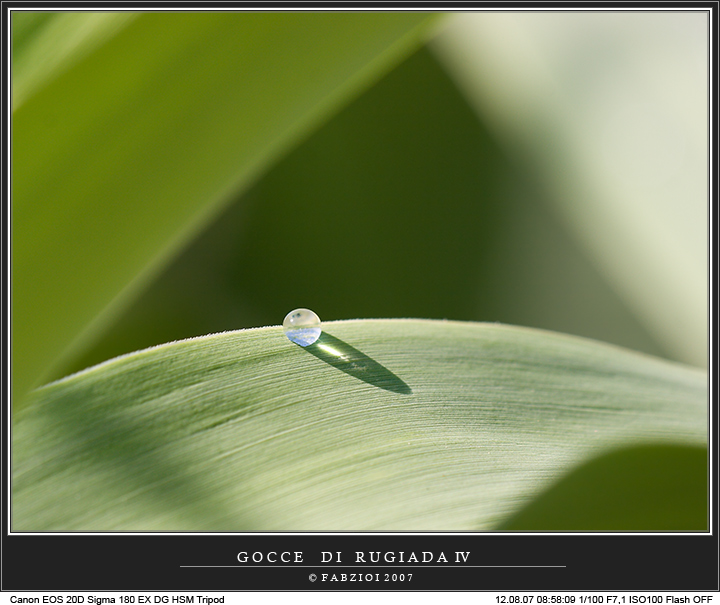 Quarto scatto della serie: Atmo...sfere di vita!