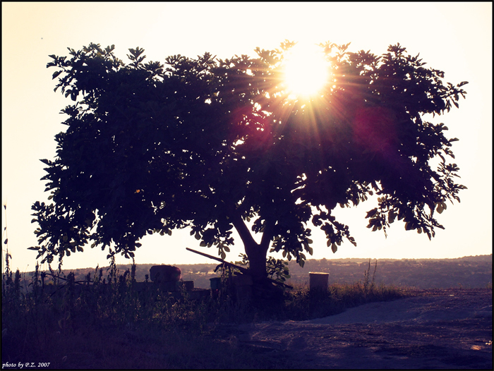 dolcezza di fine estate