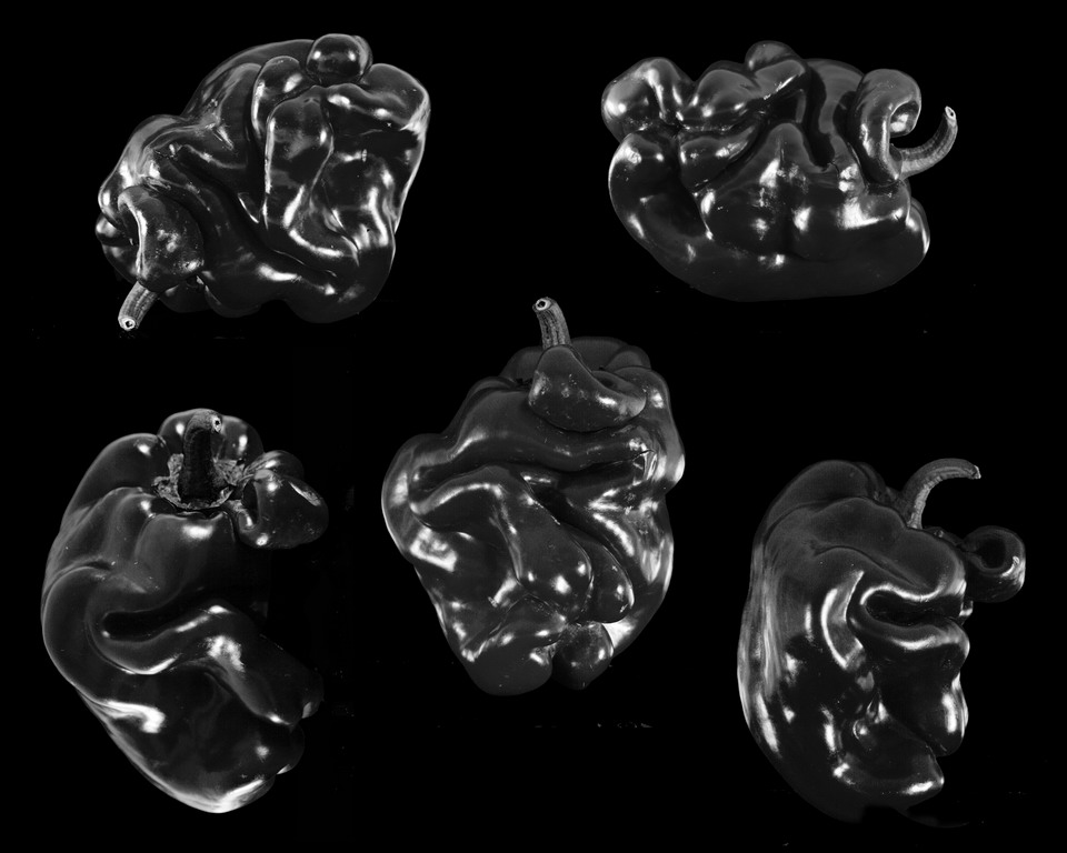 Peperonata in Black&White