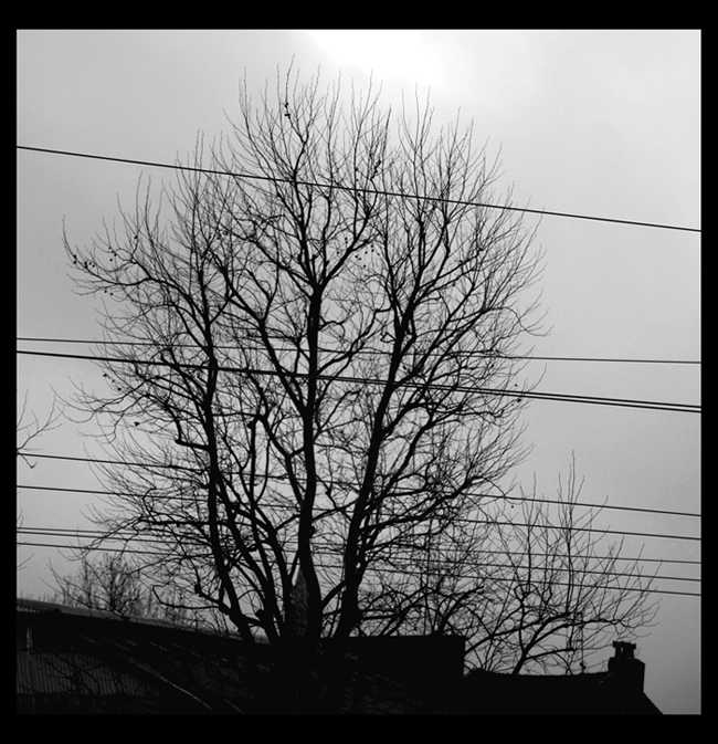 autunno da un  treno lontano