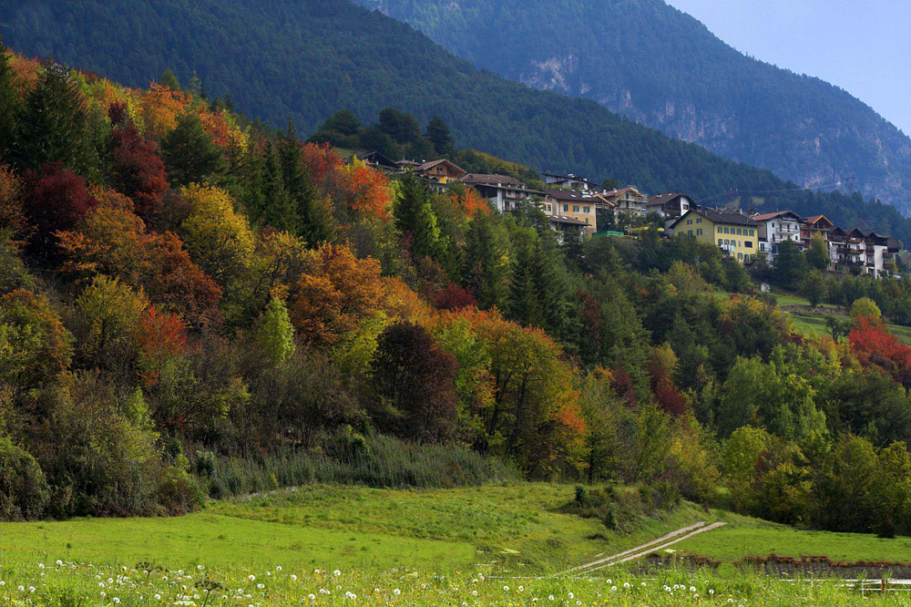 Autunno in Val di Fiemme