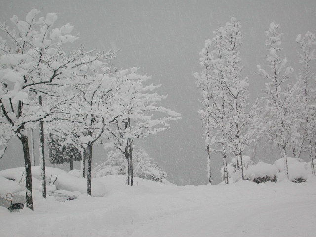 Aspettiamo la primavera