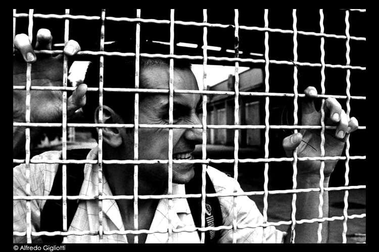 The lion in the cage...