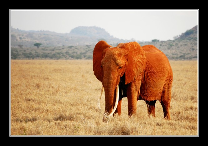 Argilla e luce radente...