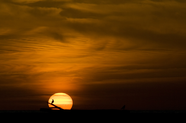 Silouette al tramonto