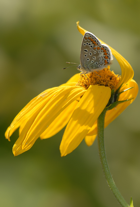 L'estate st� finendo