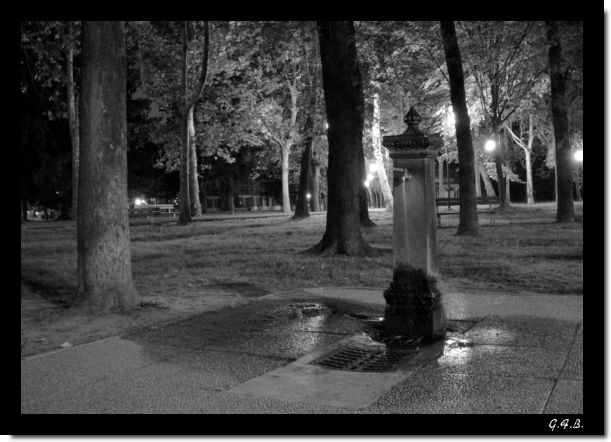 A guardia del parco...