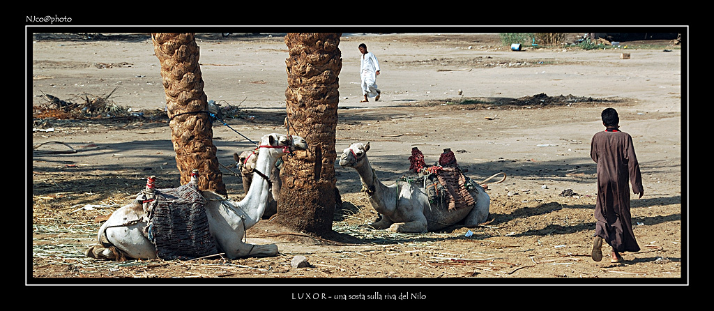 Una sosta sulla riva del Nilo