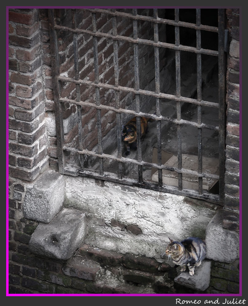 Romeo and Juliet