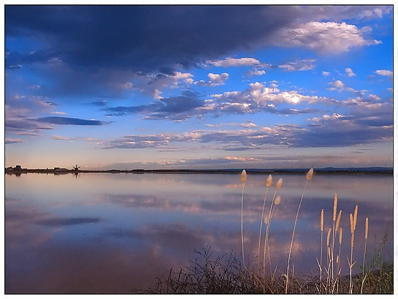 la salina ....dimenticata