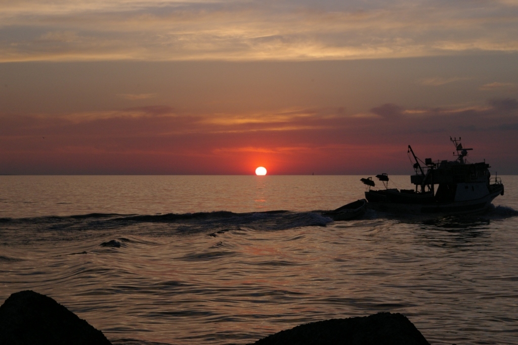 Attraversano il mare