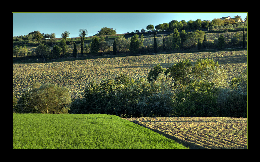 paesaggio marchigiano (2)
