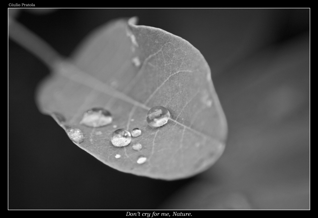 Don't cry for me, nature.