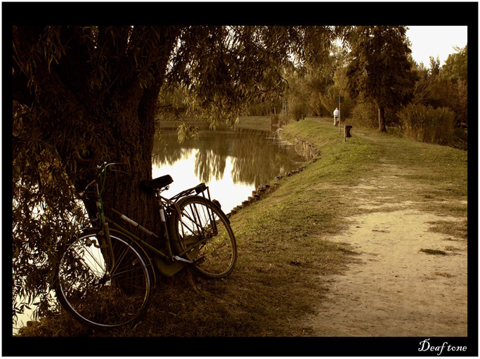 Solitude.Right here,right now