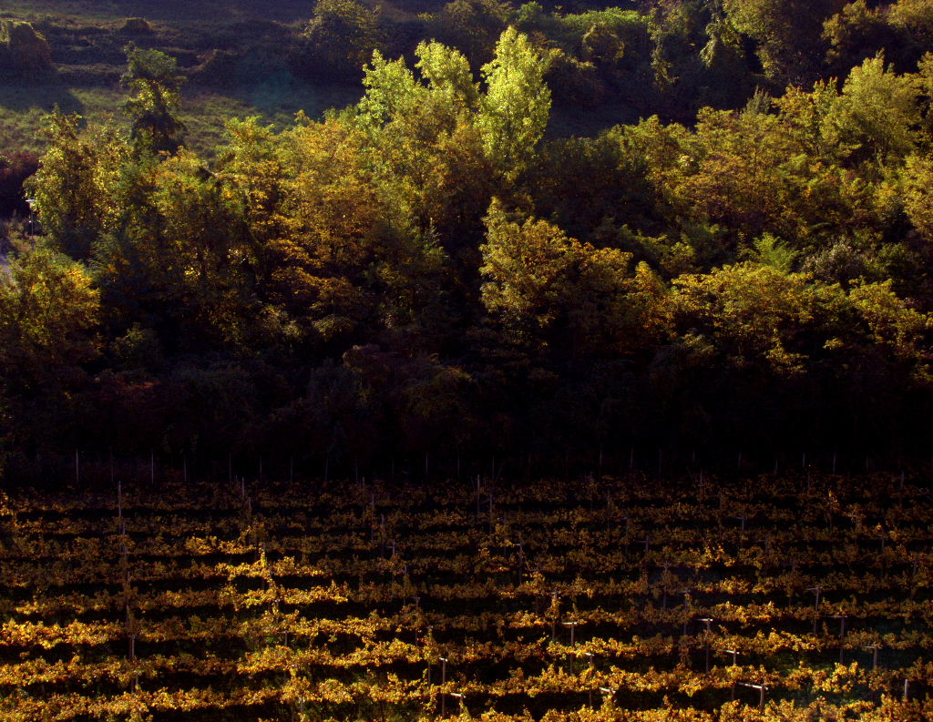 Primi Raggi d'Autunno