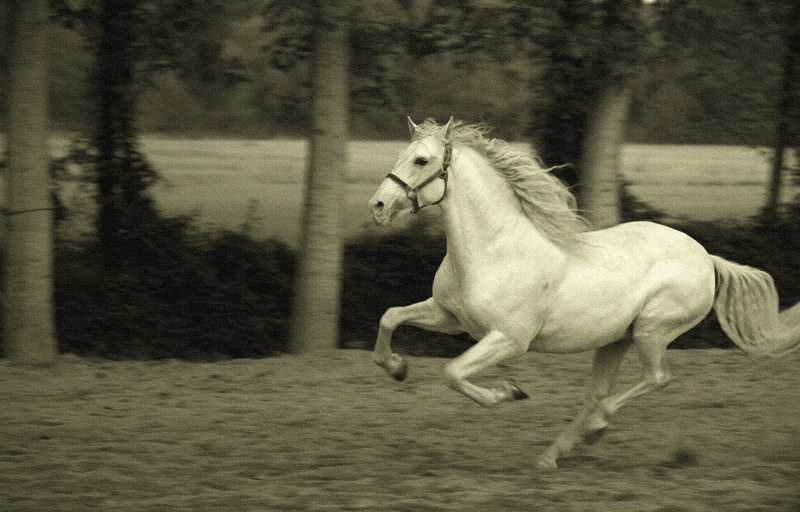 the power of freedom