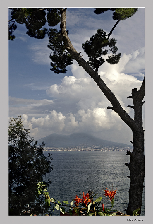 I doni di Madre Natura