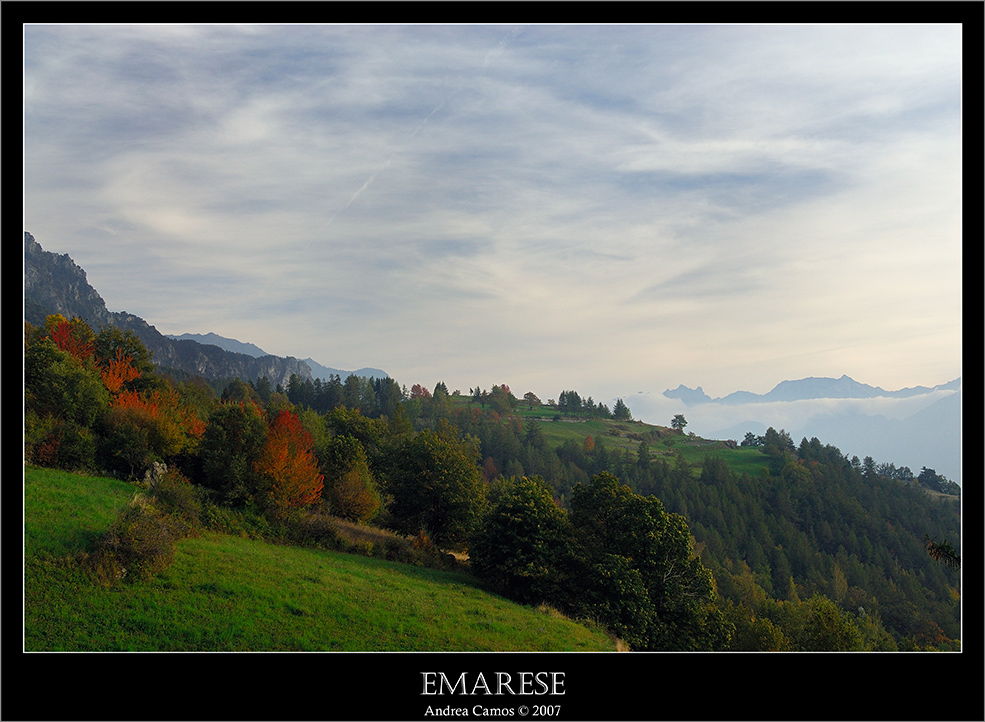 Oggi il cielo �..... grigio