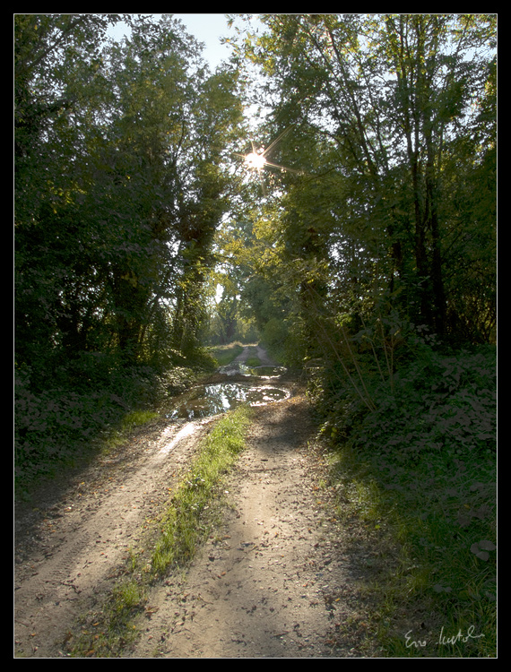Stradina di campagna