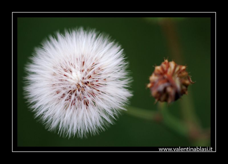 E' un gioco da bambini