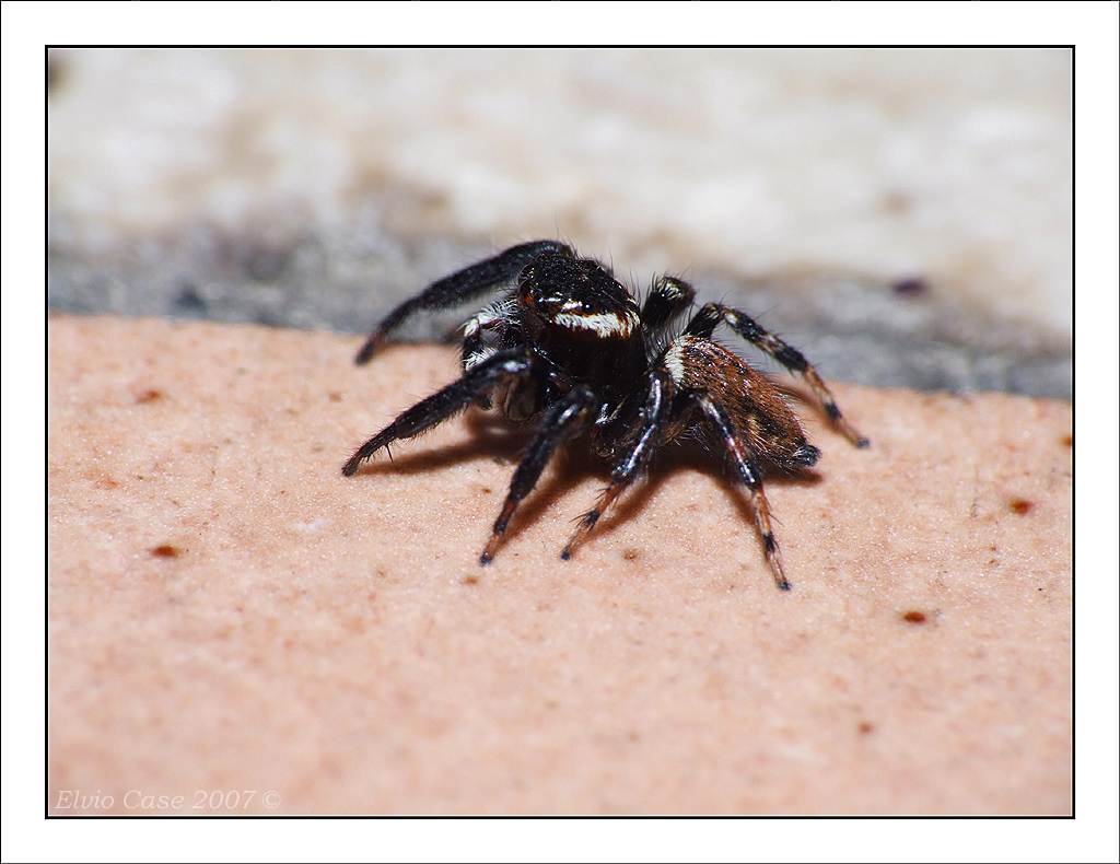 il mio lato migliore.....