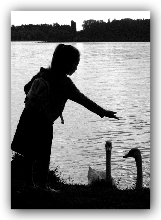 Tenerezza in controluce