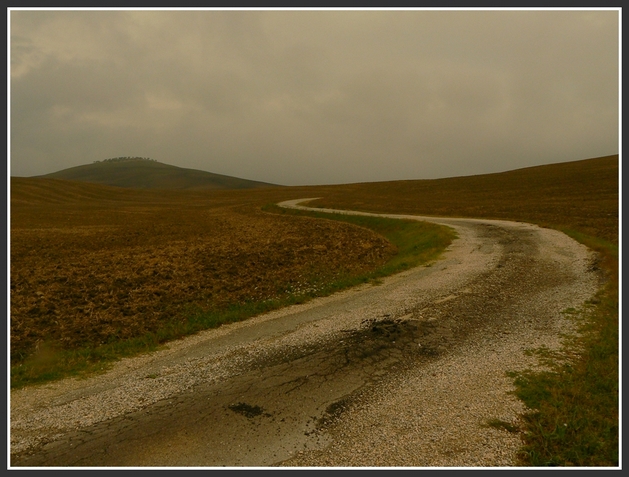 starda bianca? quasi