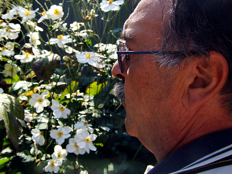 NSF-02-La difficile scelta di Lucianolibe