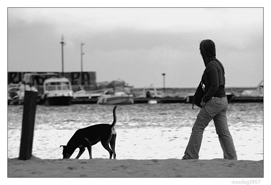 Vieni con me, protegger� la tua virt�