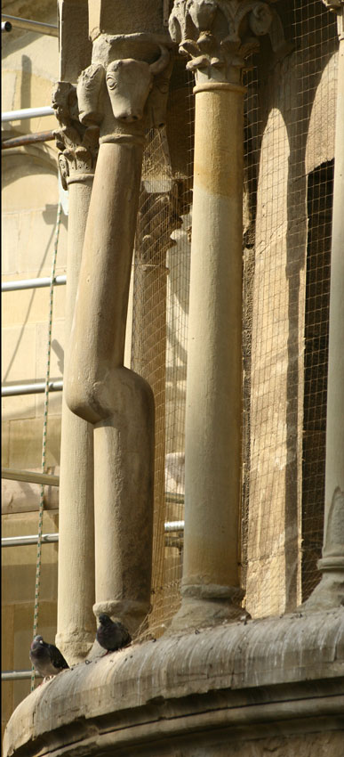 Piazza Grande Arezzo