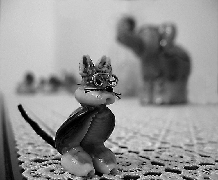 ....mmhmh....un elefante in vista...