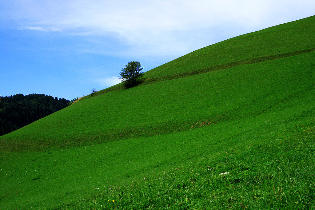 il colle( Santa Cristina, Val Gardena)