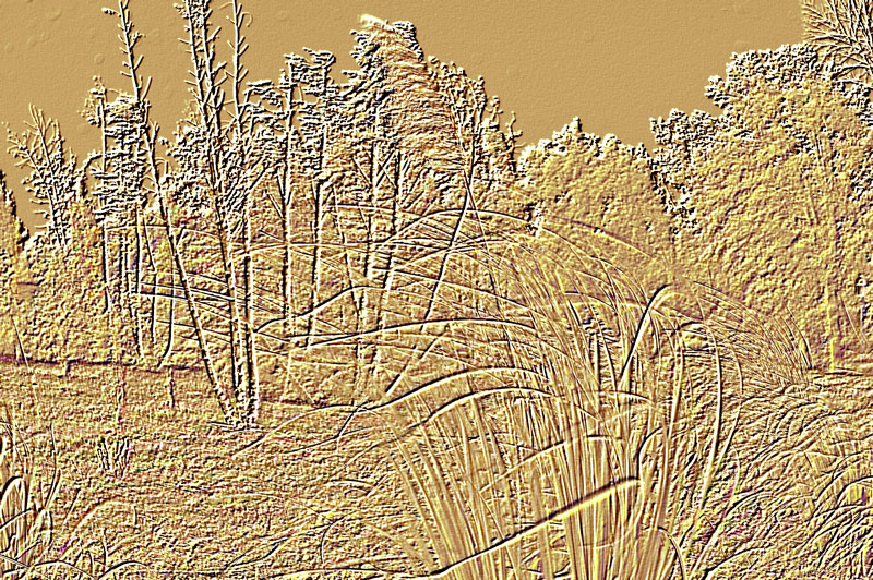 vento (raduno NSF, valtidone ott 07)