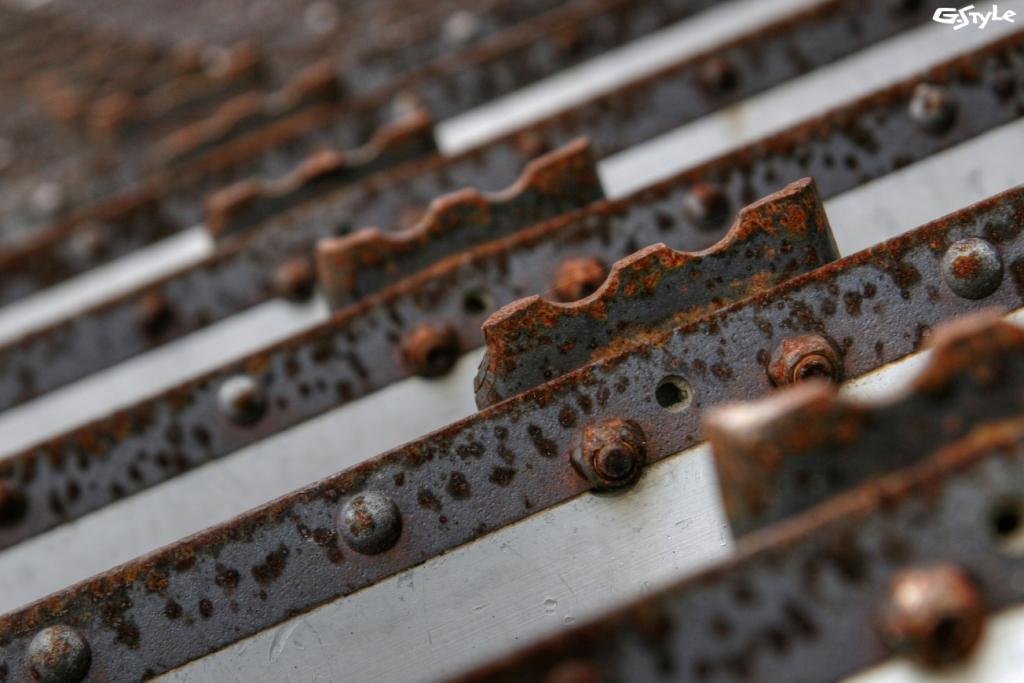 Tone mapped caterpillars