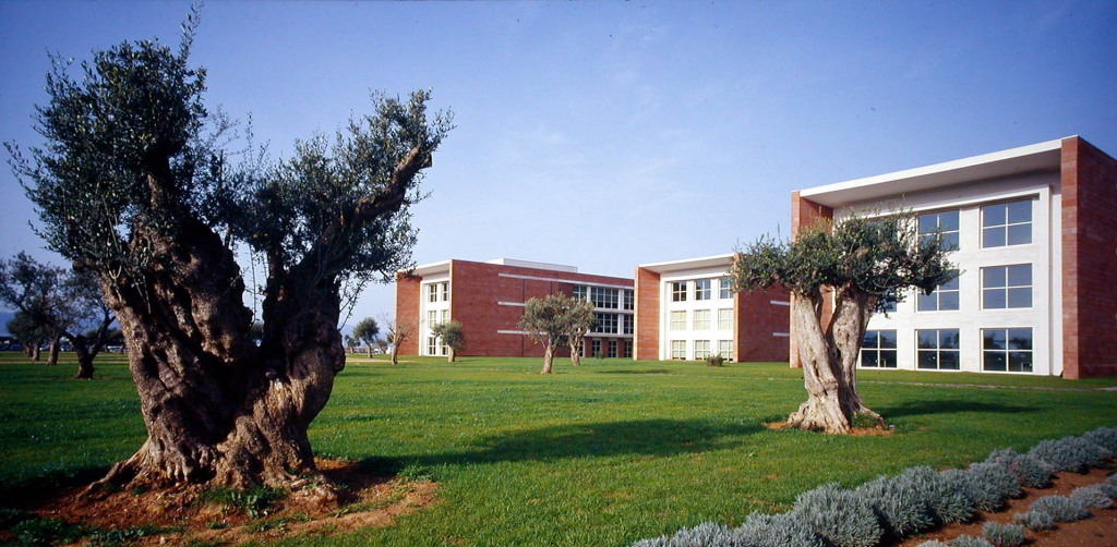 La Saggezza nel moderno