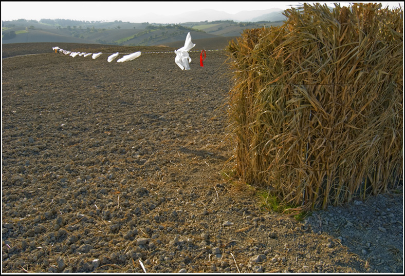 dal capanno alla birmania